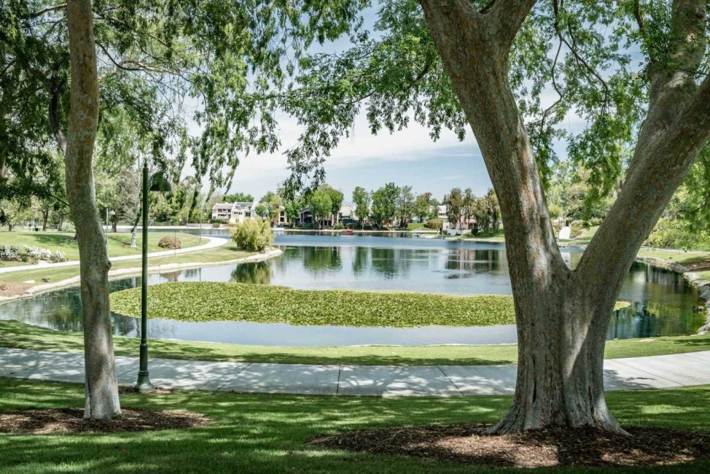 Calabasas-Generic-Shots-19 (1) (1)