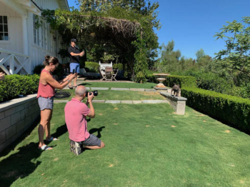 CC03A7B9-04C8-4078-94D6-747D244BC013