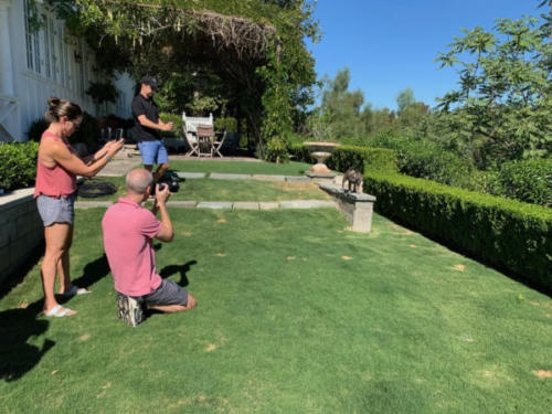 D92F584C-DCE2-40B5-9245-15F6B9C8C630