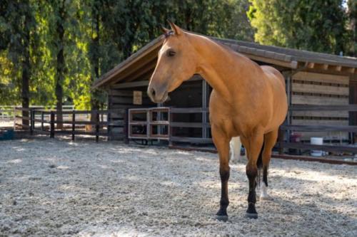 Ervin, Morty, Smokey-11