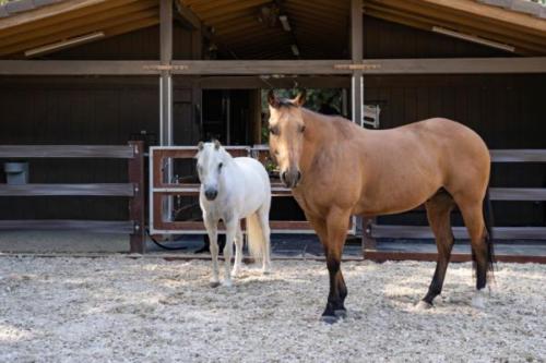 Ervin, Morty, Smokey-12