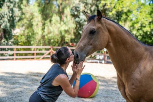 Ervin, Morty, Smokey-22