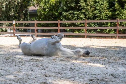 Ervin, Morty, Smokey-24