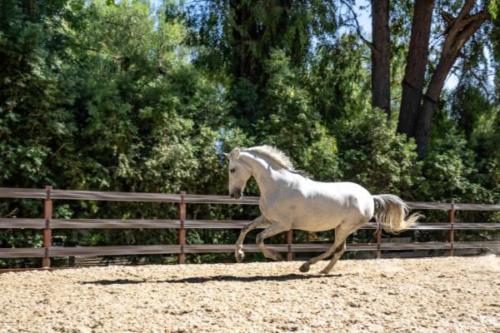 Ervin, Morty, Smokey-8