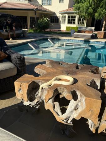 IMG 0510