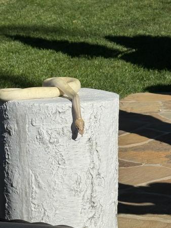 IMG 0515