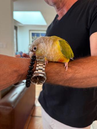 IMG 0552