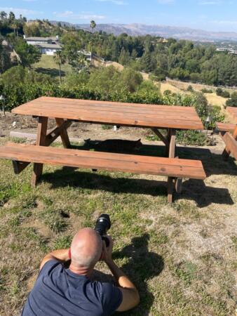 IMG 0760 Large