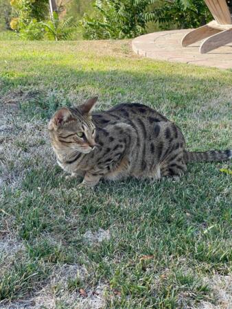 IMG 0765 Large
