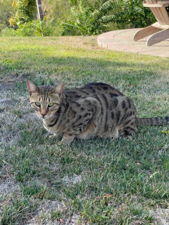 IMG 0766 Large