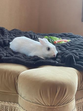 IMG 2189