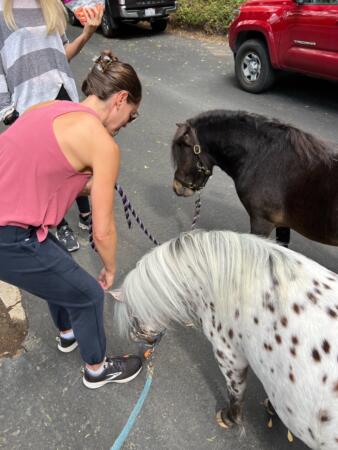 IMG 7178 Large