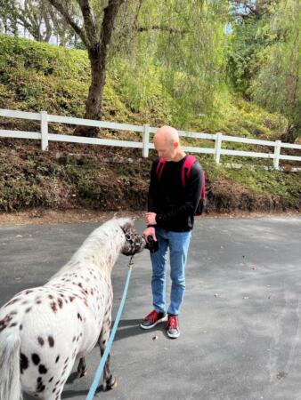 IMG 7186 Large