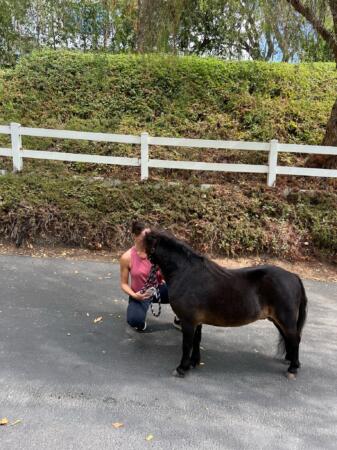IMG 7194