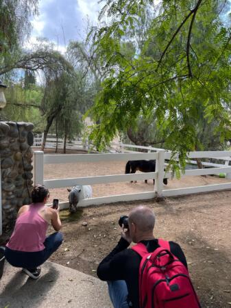 IMG 7207