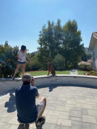 IMG 8967