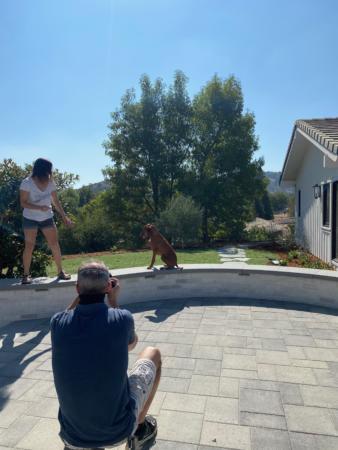 IMG 8968