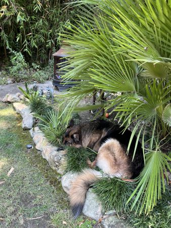 Image 20251027 085830