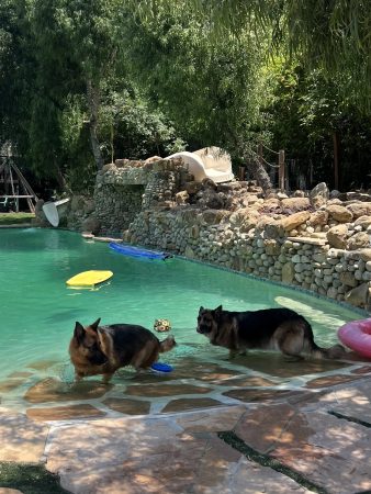 Image 20251027 085858