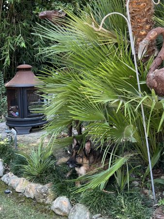 Image 20251027 085923