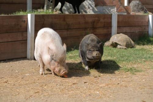 Kevin Bacon-01