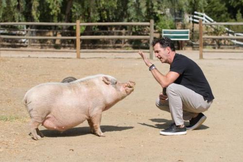 Kevin Bacon-04