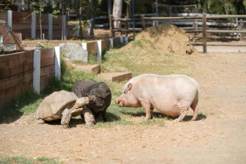 Kevin Bacon-06